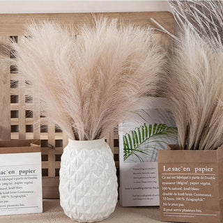 Boho Pampas Grass