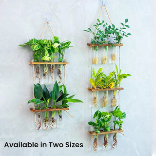 Test Tube Planter