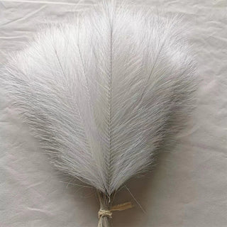 Boho Pampas Grass