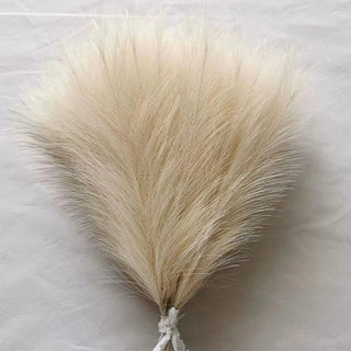 Boho Pampas Grass