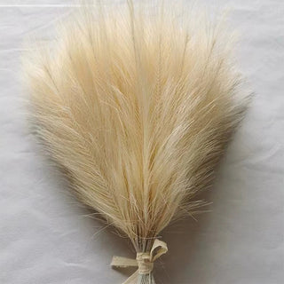 Boho Pampas Grass